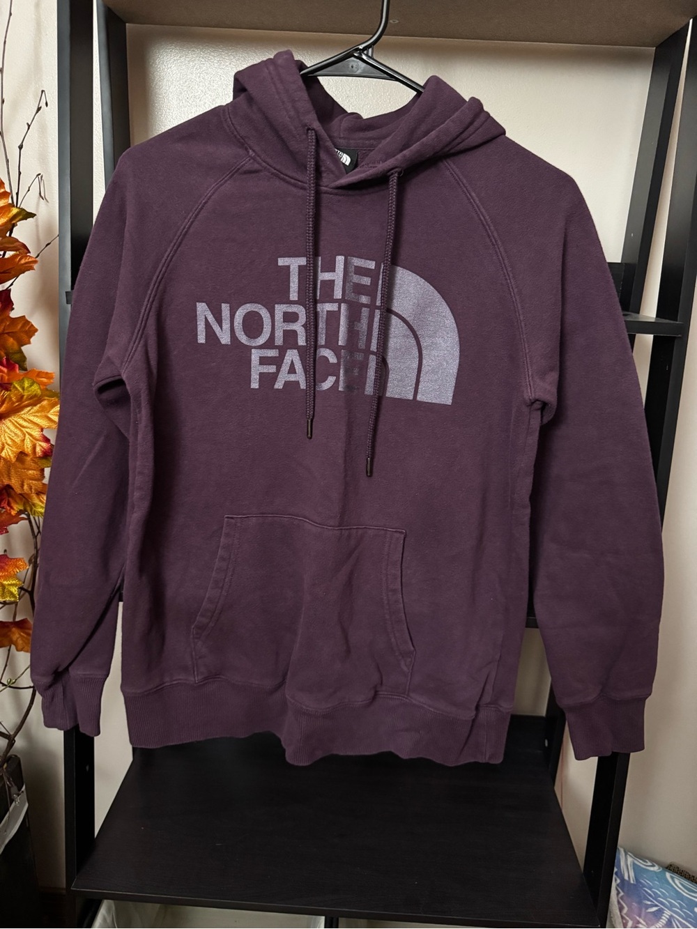 The North Face Plum Pullover Hoodie with Logo